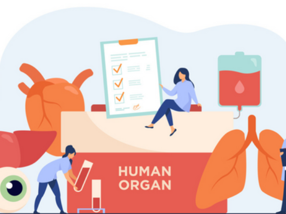 Come donare organi, tessuti, cellule