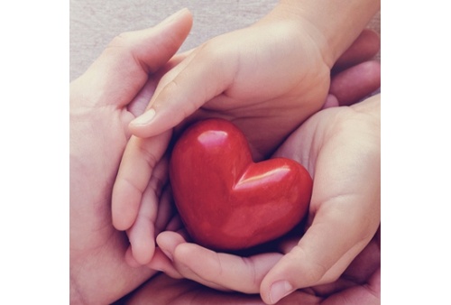 Donazione della Famiglia Sardon di quattro sistemi per il monitoraggio post dimissione dell’ittero neonatale e accettazione del legato testamentario della Sig.ra Blasich Stanislava.