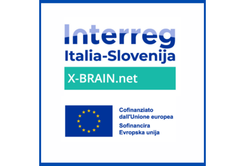 Dalla realtà virtuale all’active room: nuovi protocolli transfrontalieri per la riabilitazione post-ictus