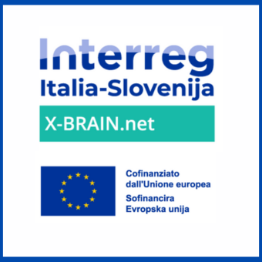 Dalla realtà virtuale all’active room: nuovi protocolli transfrontalieri per la riabilitazione post-ictus