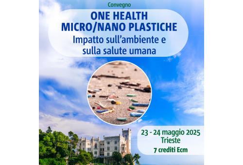 One health micro/nano plastiche: Impatto sull'ambiente e sulla salute umana