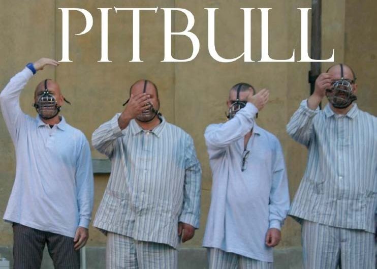 pitbull