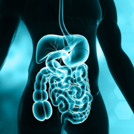 19 maggio - Giornata Mondiale delle Malattie Infiammatorie Croniche dell’Intestino (MICI)