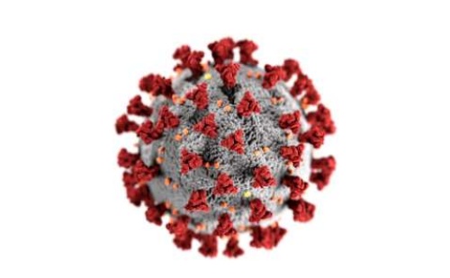 Studio sull’incidenza del COVID-19 durante la pandemia in 2.314 dipendenti del comune di Trieste