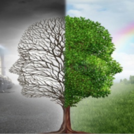 Tra cibo e Sustainable Development Goals