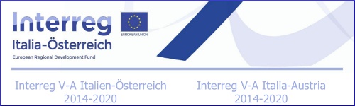 logo Healthnet Interreg Italia - Austria 