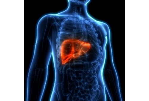 Sodelovanje v nacionalni, neprofitni, multicentrični prospektivni opazovalni študiji z naslovom "Italijanski register minimalno invazivnih resekcij jeter v okviru združenja I Go MILS" - IGoMILS.