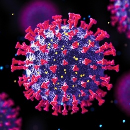 Epidemiološka študija za oceno pojavnosti in dejavnikov tveganja za ponovno okužbo z virusom Covid-19 pri zdravstvenih delavcih v podjetju ASUGI