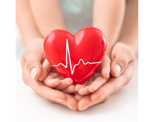 Accettazione di alcune donazioni di denaro