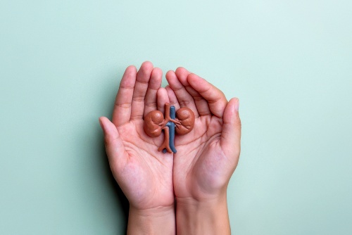 Oddelek za nefrologijo in dializo Posoškega območja ASUGI bo tudi letos sodeloval ob svetovnem dnevu ledvic - ki ga obeležujemo 12. marca. 