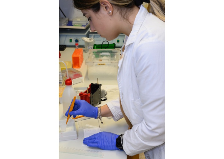 Laboratorio FIF