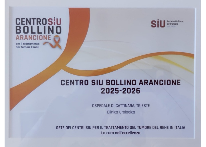 2_BOLLINO