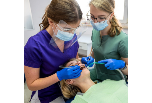 Zobozdravniški asistent prvič vstopa v javnost