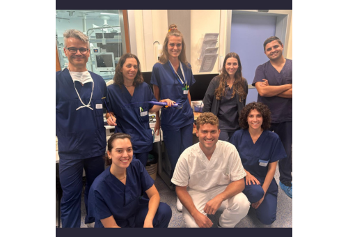 Elektroanatomsko kartiranje, integrirano s sistemom za elektroporacijo, za zdravljenje atrijske fibrilacije