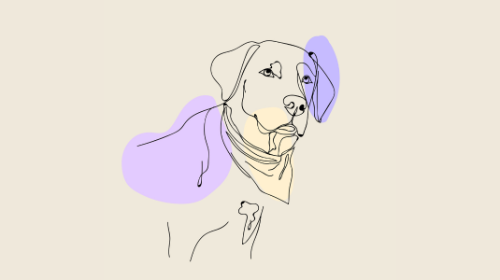 Ringraziamento da parte della SC di Pediatria all'Associazione Solidarietà è Vita per il finanziamento di un Progetto di Pet-Therapy