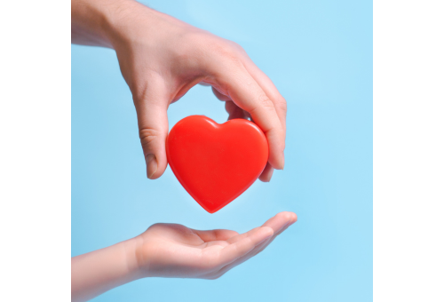 Accettazione della donazione da parte dell’associazione Solidea ODV da destinare alla S.C. Oncologia Gorizia e Monfalcone – sede di Gorizia