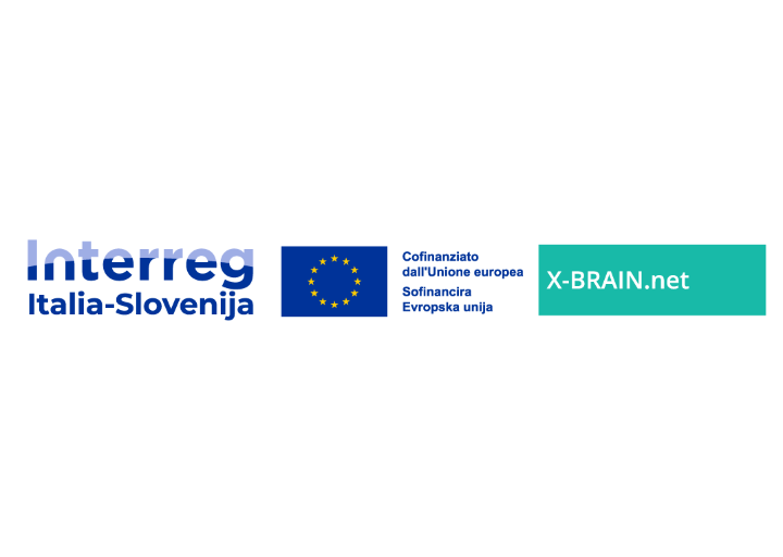LOGO X-BRAIN 