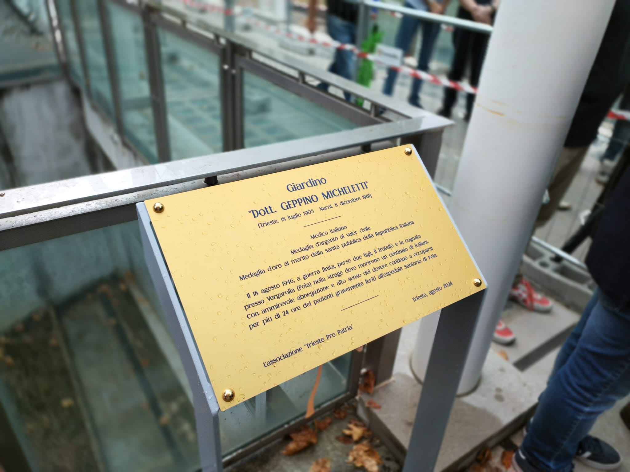 PHOTO-2024-08-19-11-14-16