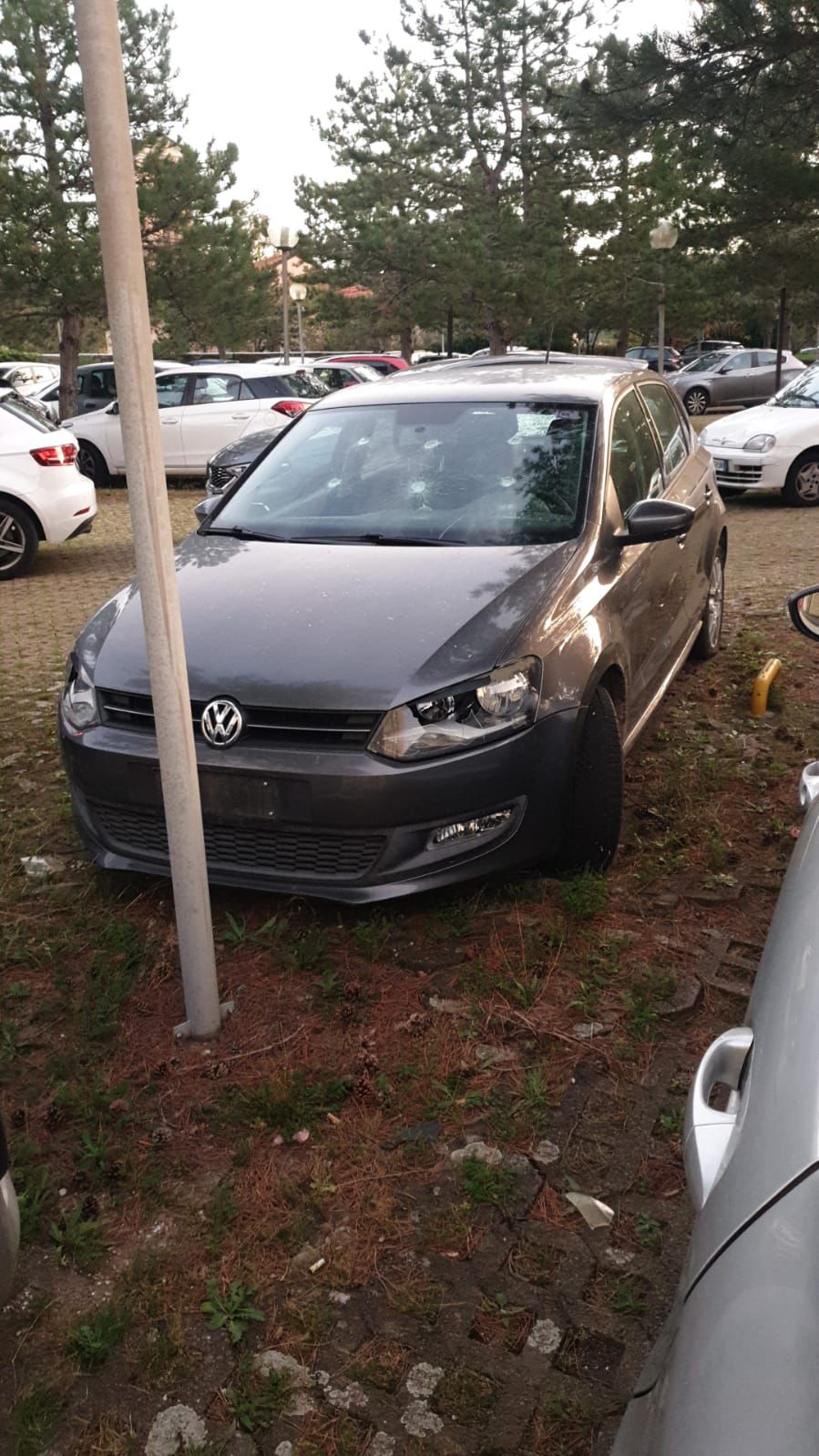 PHOTO-2024-10-21-08-57-57