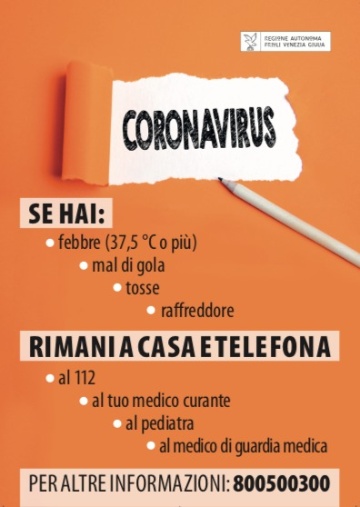 Coronavirus-19 FVG-800500300